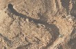 Sand-Murmelbahn