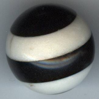 Steinmurmel